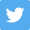 Icona Twitter