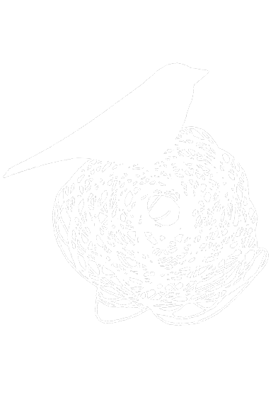 Habitatge