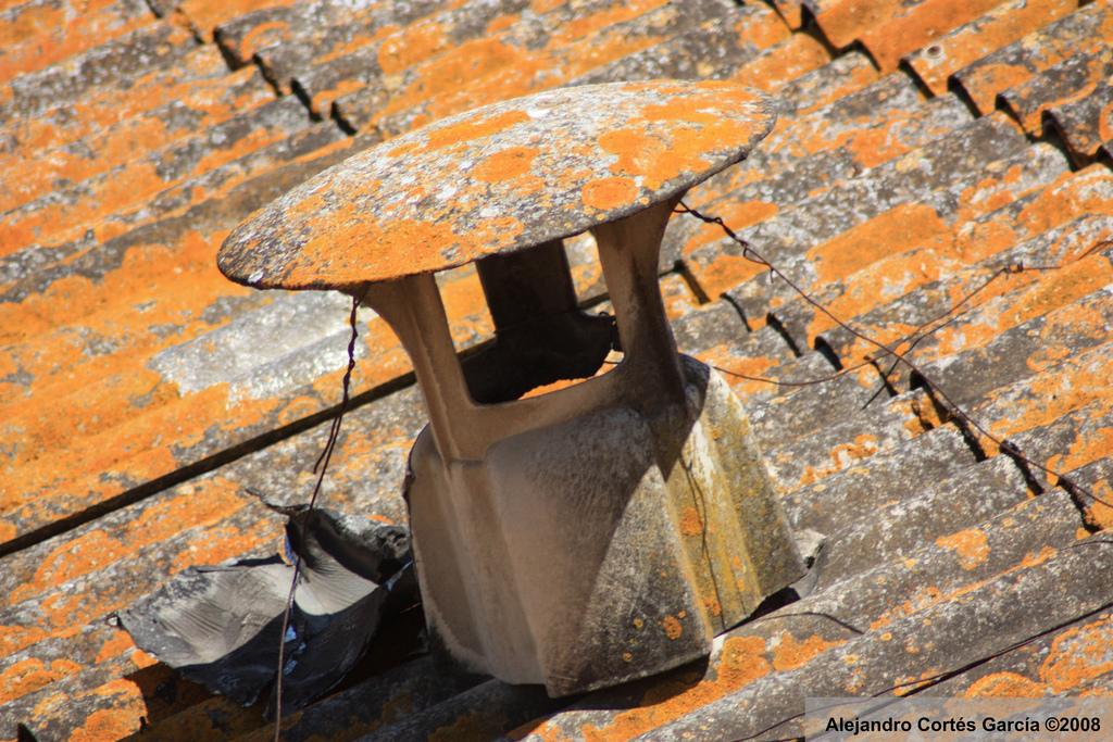 Reclamen l'accés anticipat a la jubilació pel col·lectiu de treballadors de l'amiant
