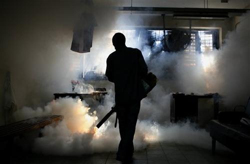 Indemnització de 230.000 euros per a una treballadora exposada a fumigacions