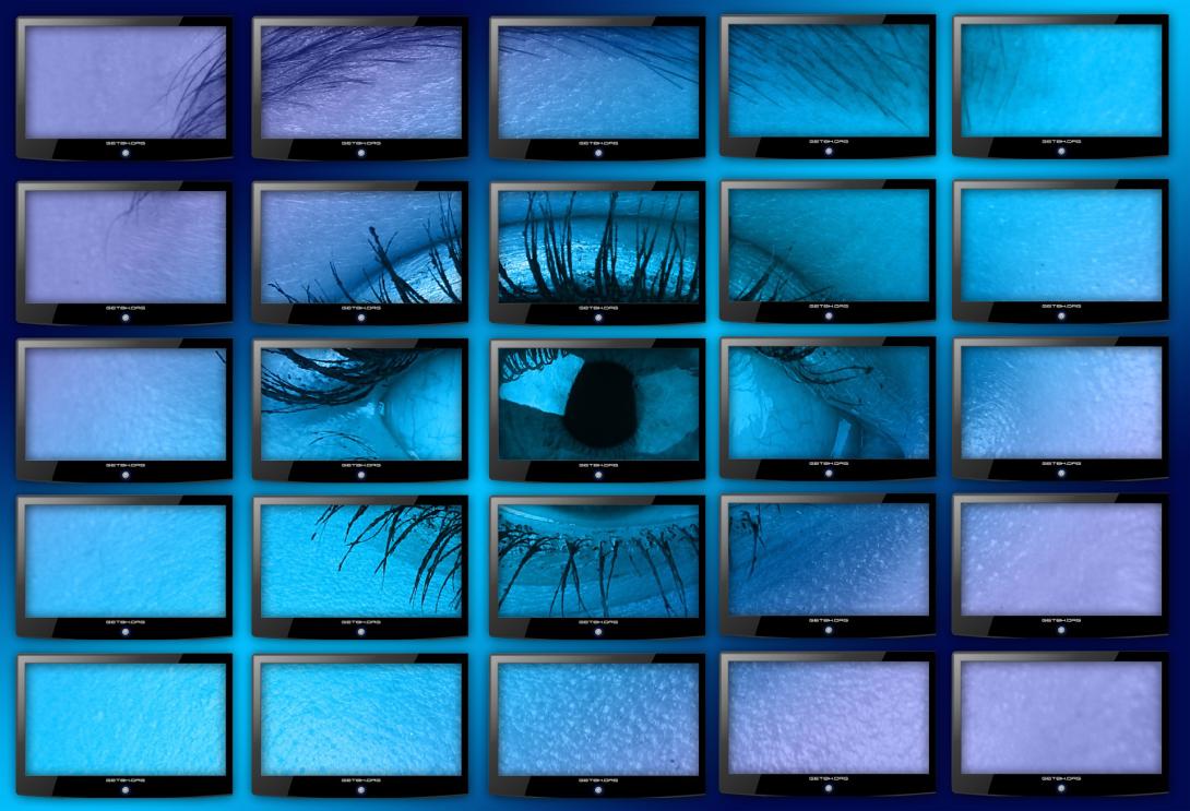 Regulación de la videovigilancia o derecho a la desconexión digital entre las principales novedades