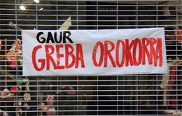 Solidaritat