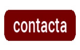 contacta