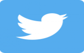 Icona Twitter