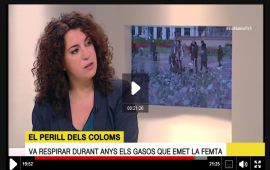 Marta Els matins Coloms